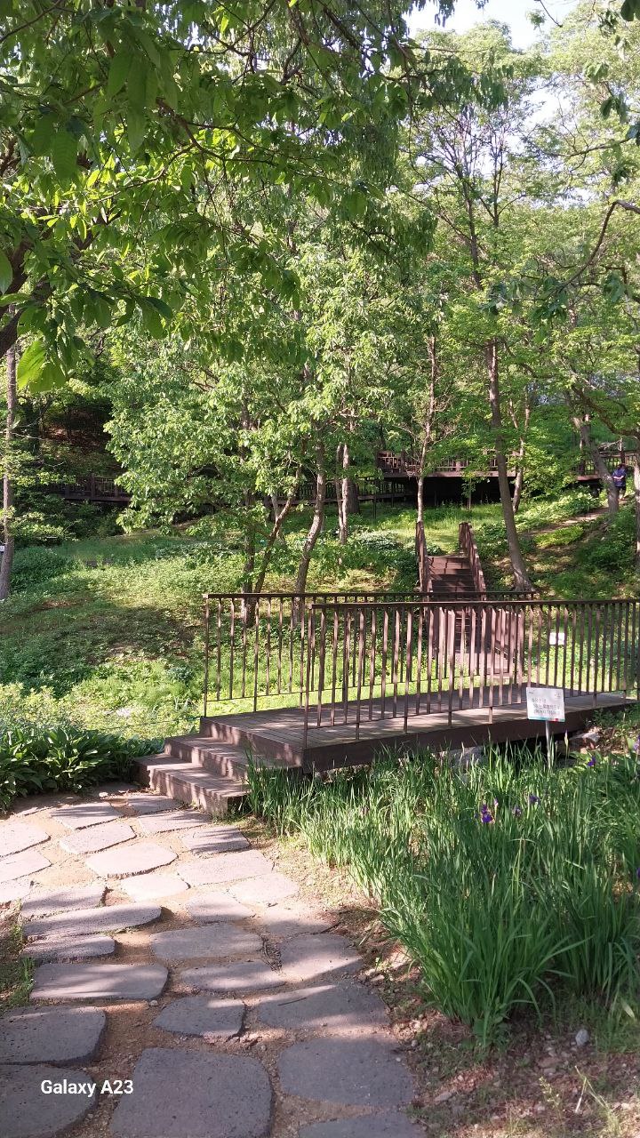 파주 율곡수목원 산책로