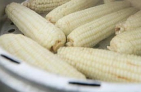 찰옥수수 삶는법, 찌는법, 보관방법, 제철 수확시기, 칼로리