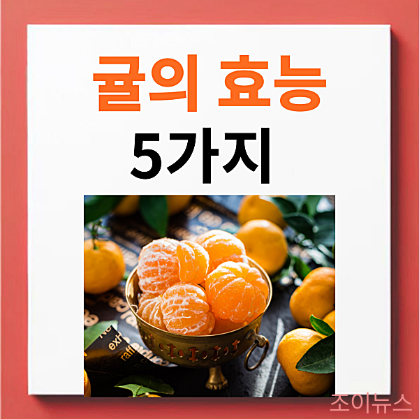 귤의 효능 5가지, 귤 고르는 법과 보관방법까지!
