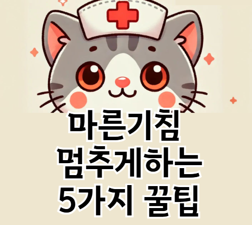 밤에 심한 마른기침 멈추는법 5가지 – 지금 당장 실천하세요