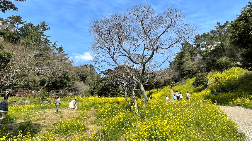 중문 미라지 올라가는 길