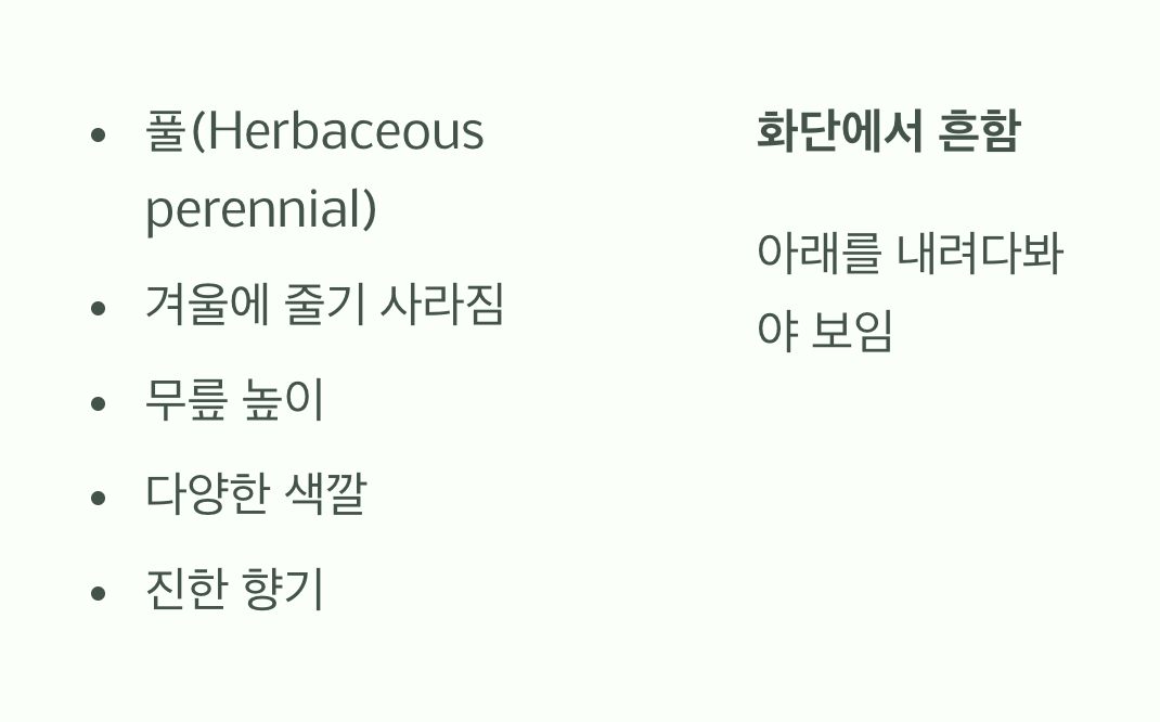 허리를 숙여보세요, '작약'입니다