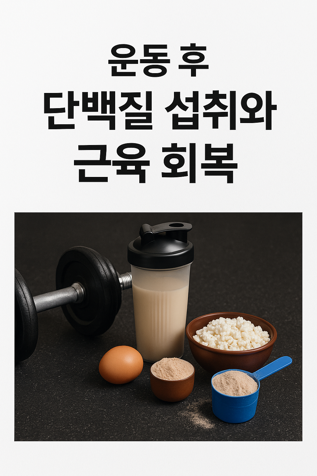 운동 후 단백질 섭취와 근육 회복