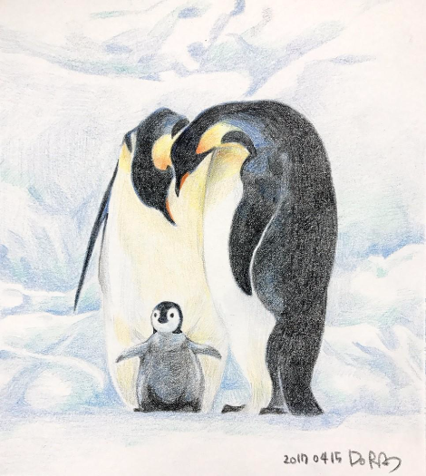 황제펭귄의 허들링