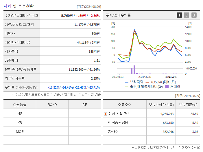 브리지텍_기업개요