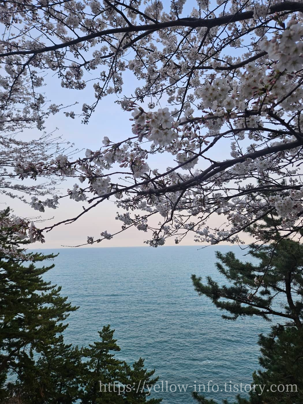거제 장승포 해안일주도로