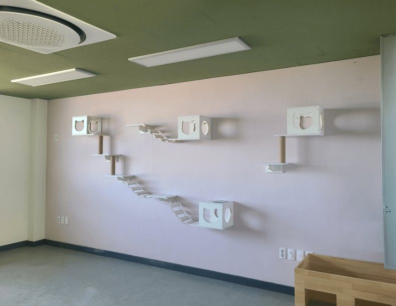 통영 고양이 학교 시설