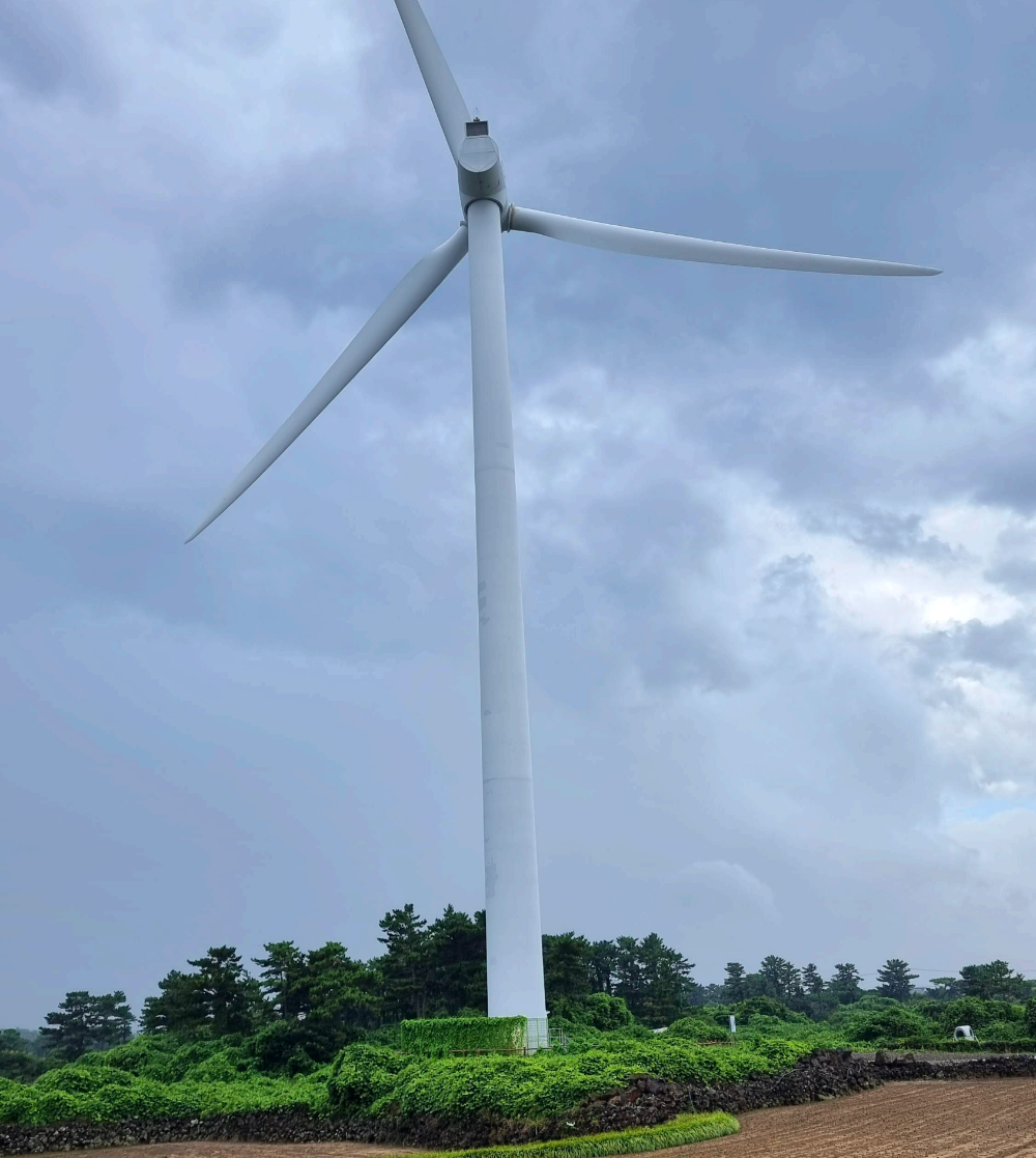 올레20코스 돌다가 만난 풍차