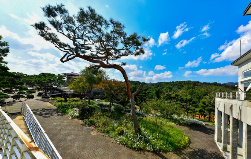 그림같은 수목원