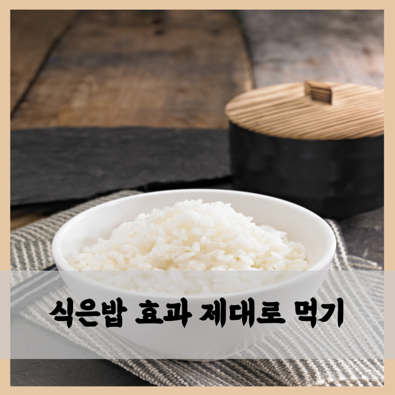 식은밥 효과 제대로 먹는법 중요