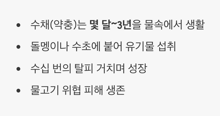 진짜 삶은 물속에 있다