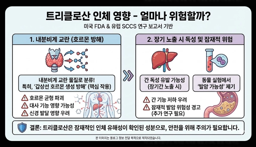 2080치약 리콜 사유(트리클로산, 6종)(환불 + 인체 영향)