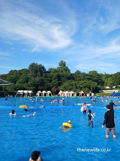 Colorful floats and happy families enjoying the wide open pool in the park./넓은 서울 어린이 대공원 수영장에서 튜브를 타고 물놀이를 즐기는 가족들 모습.