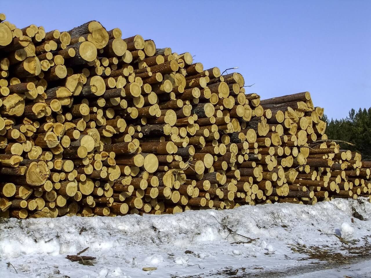 한옥 속 목공 디테일