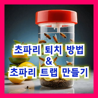 초파리 퇴치 방법 &amp; 초파리 트랩 만드는 방법
