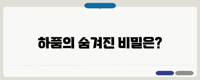하품이 자주 나오는 이유와 신체 변화