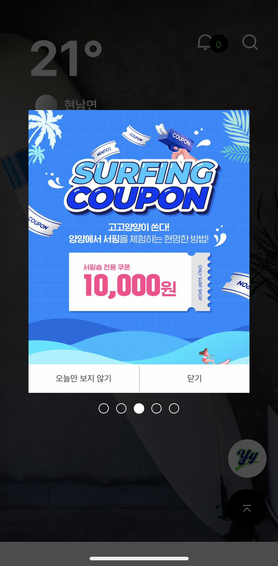 고고양양 서핑 쿠폰