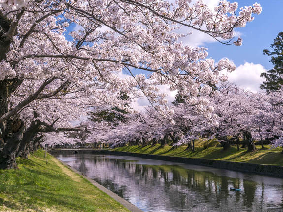 아오모리 패키지 여행