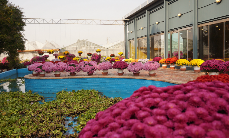 아산 세계꽃식물원