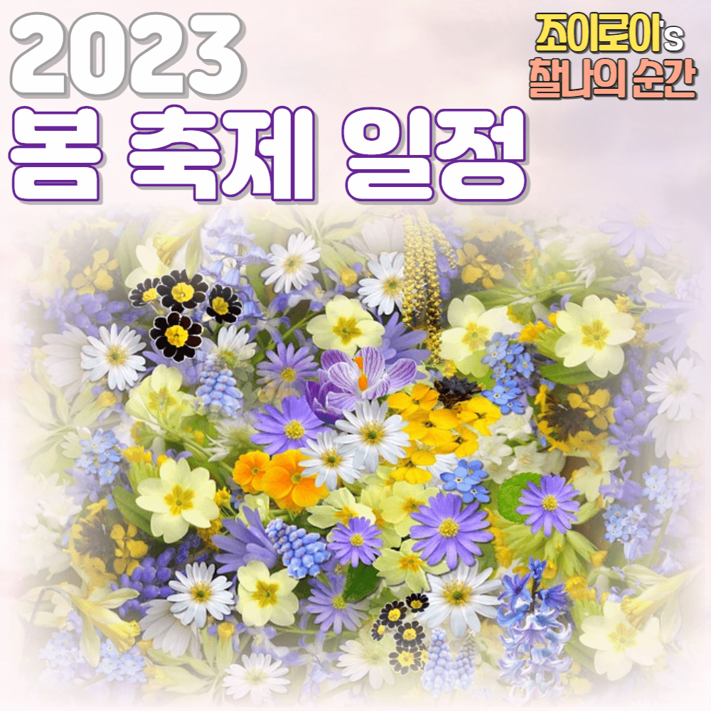 봄 축제 일정