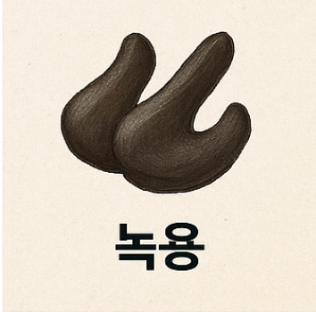공진당효능