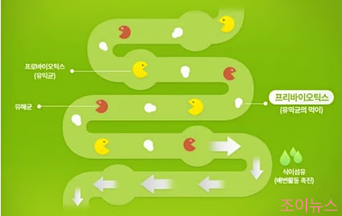 프리바이오틱스란?_이미지출처: 사노피아벤티스코리아