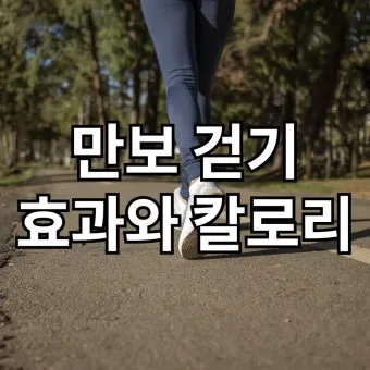걷기 칼로리 계산기 걸음수 소비 칼로리_22