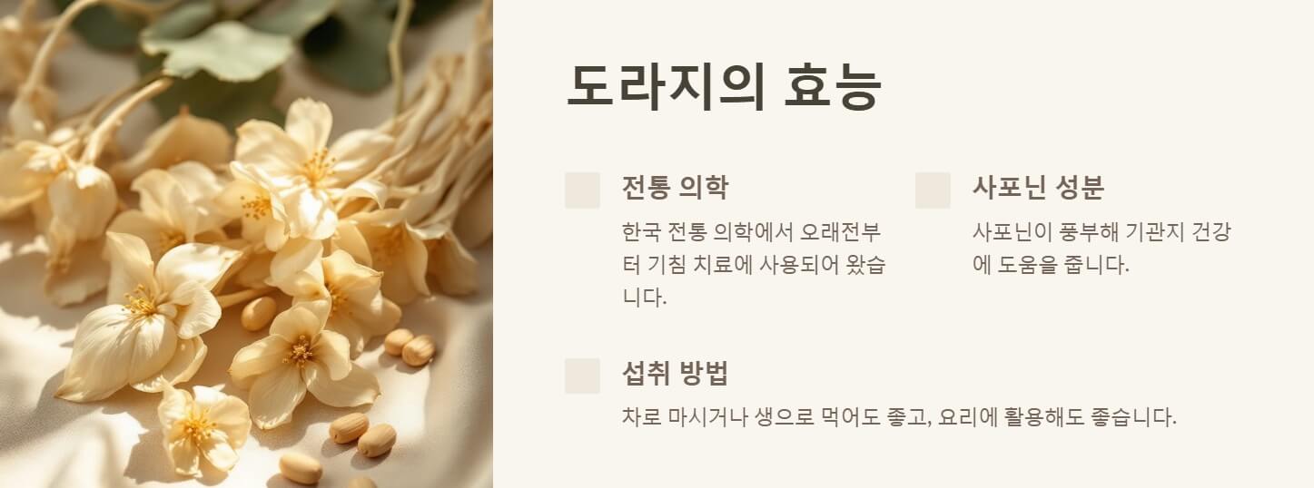 만성기침에 좋은 음식