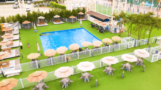 부천 렛츠플레이독 (Let’s Play Dog)