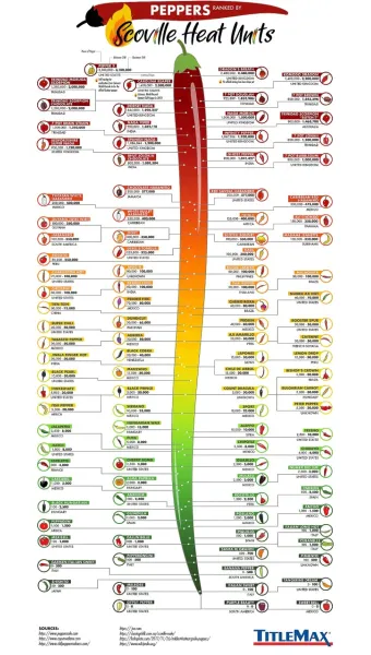 매운 라면 스코빌 지수 비교 신라면 열라면 불닭_19