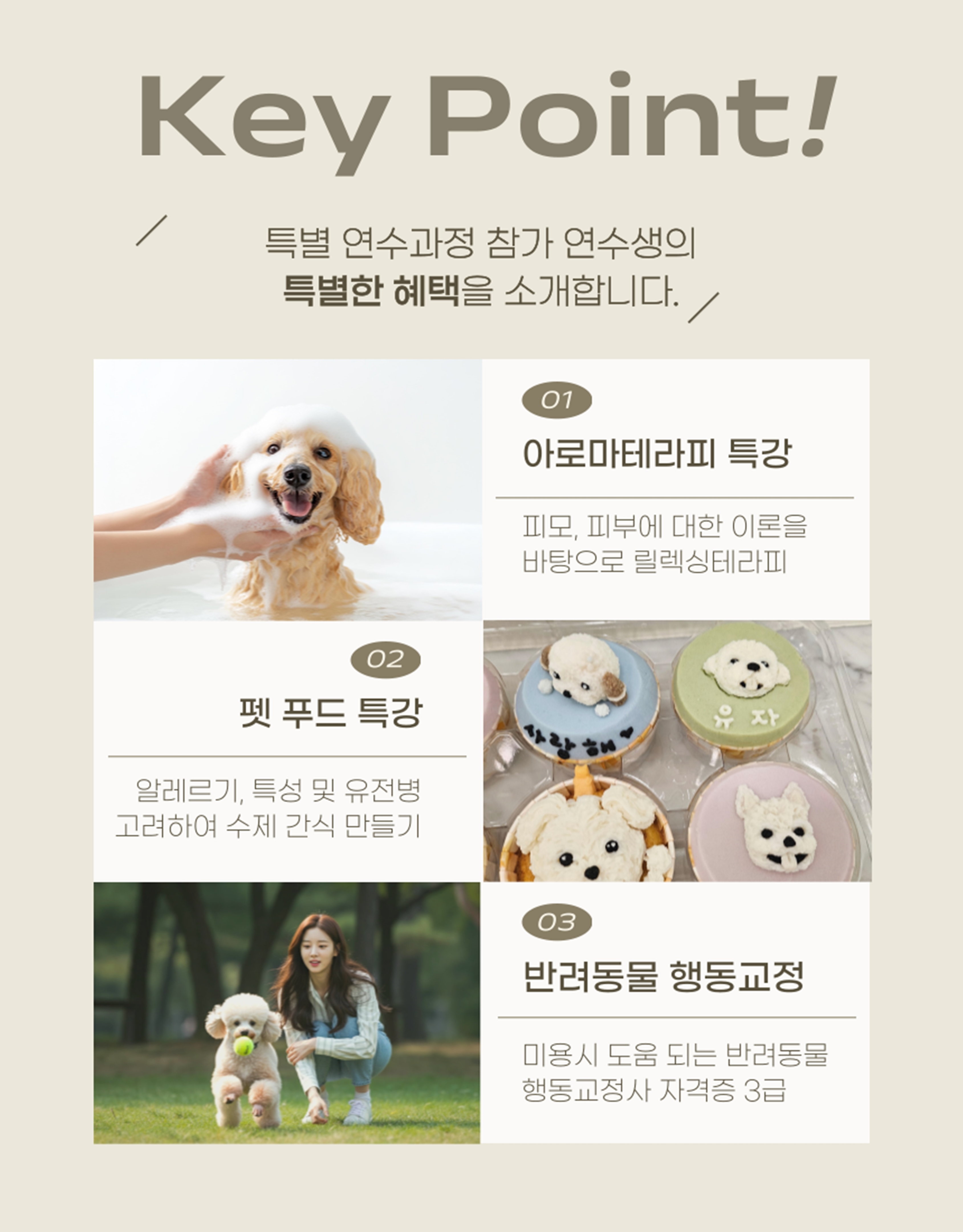 은평구애견미용학원