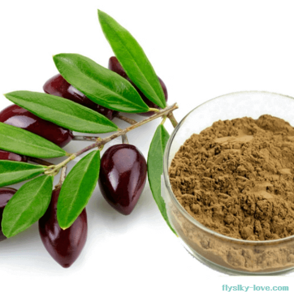 올리브 잎 분말