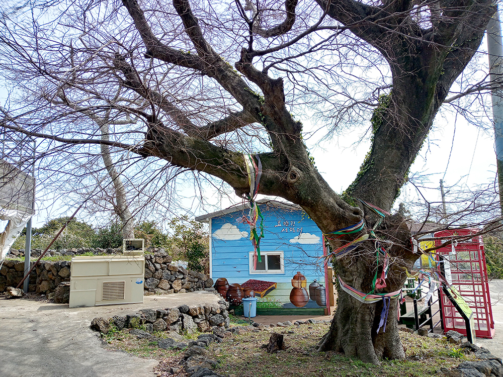 올레3A코스: 온평포구에서 표선올레까지