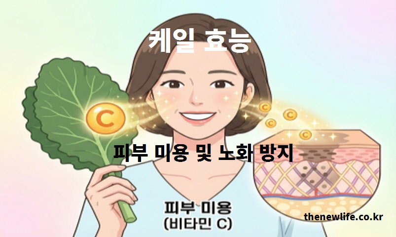 케일 효능 피부 미용 및 노화 방지: 오렌지보다 풍부한 비타민C가 콜라겐 생성을 돕고 기미 주근깨를 예방하는 원리