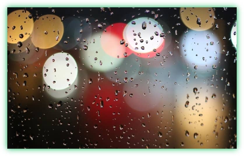 장마철 집안의 습기와 곰팡이 방지, 관리 및 제거 방법