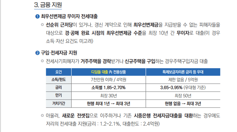 전세사기-피해지원-금융-지원-내용-캡처-이미지