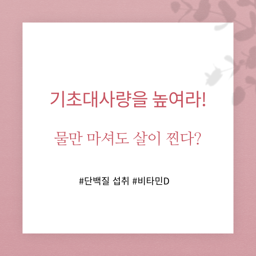 기초대사량