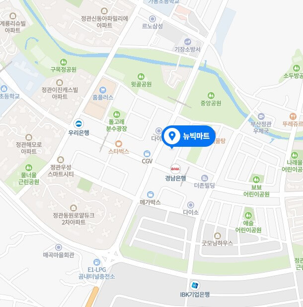 뉴빅마트