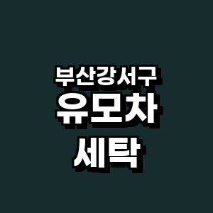 부산 강서구 유모차 세탁