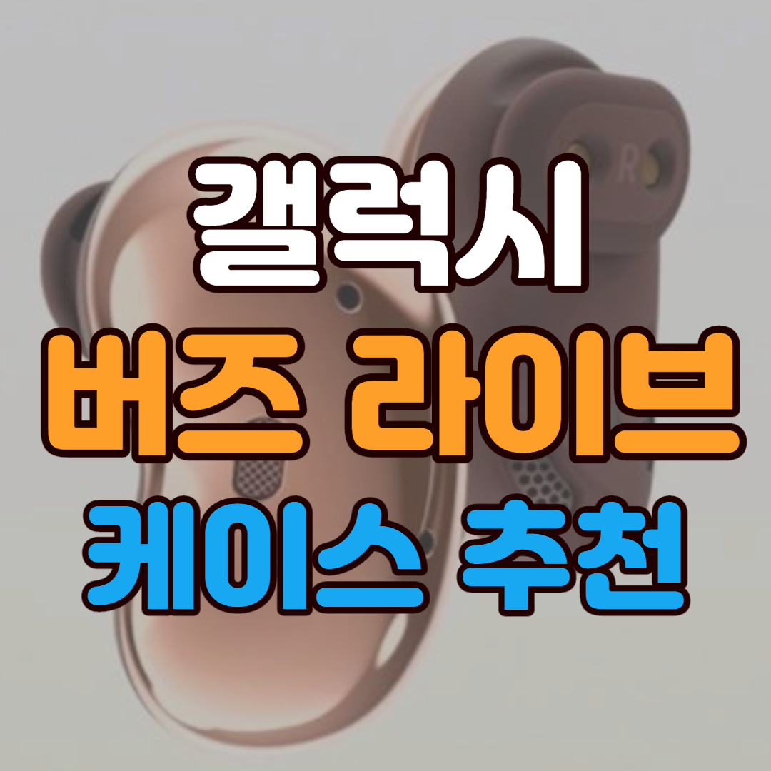 갤럭시 버즈 라이브 케이스