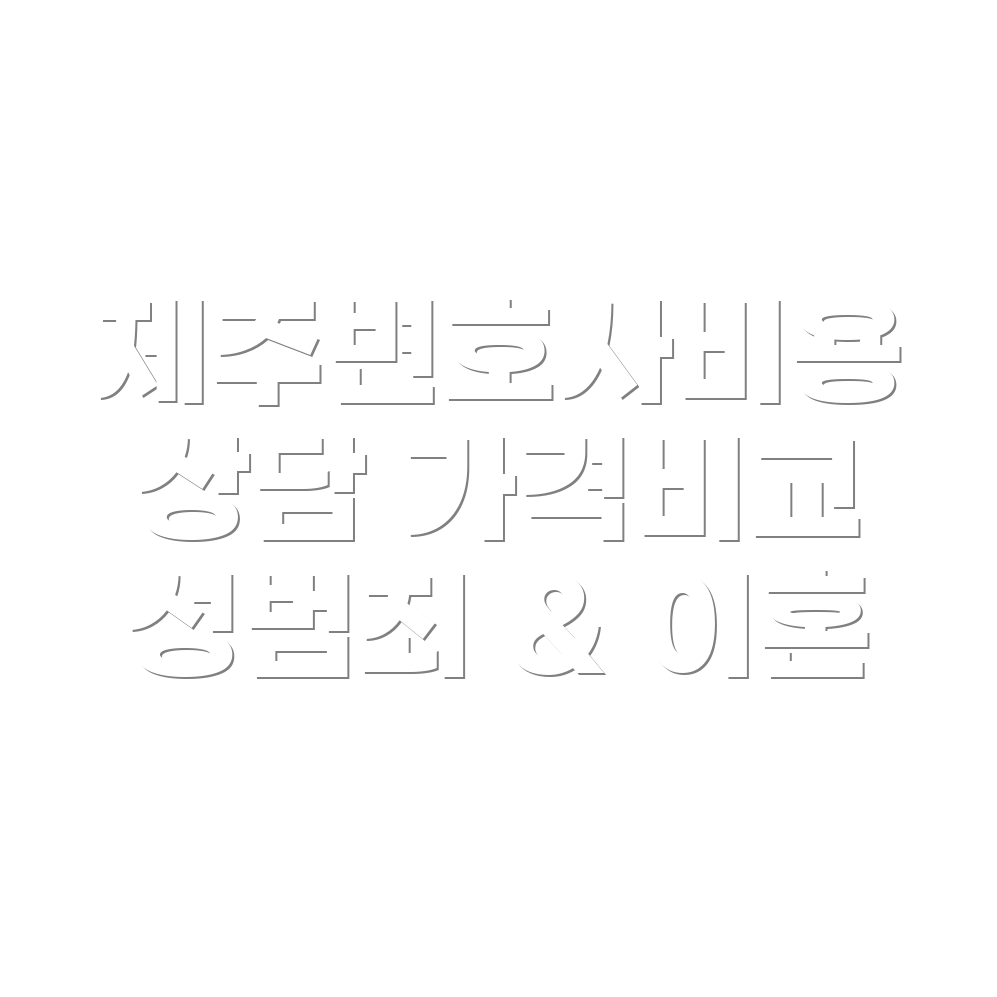 제주도 변호사 선임비용