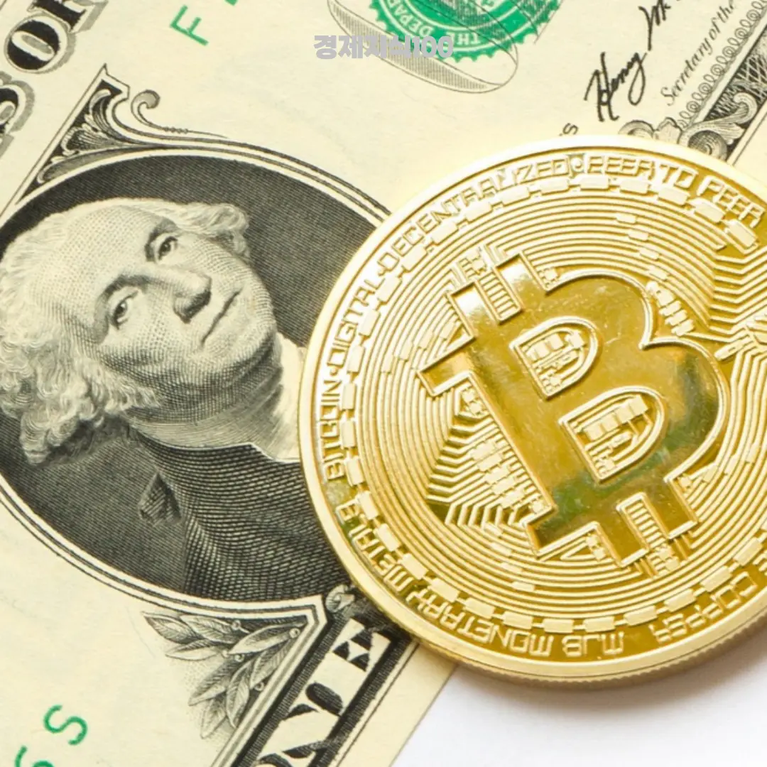 애니메코인 관련 이미지