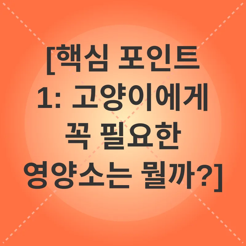 고양이 영양 관리_1