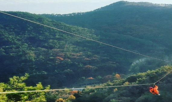 충북-보은-속리산-테마파크-모노레일-단풍-가을-여행지-요금-이미지-정보