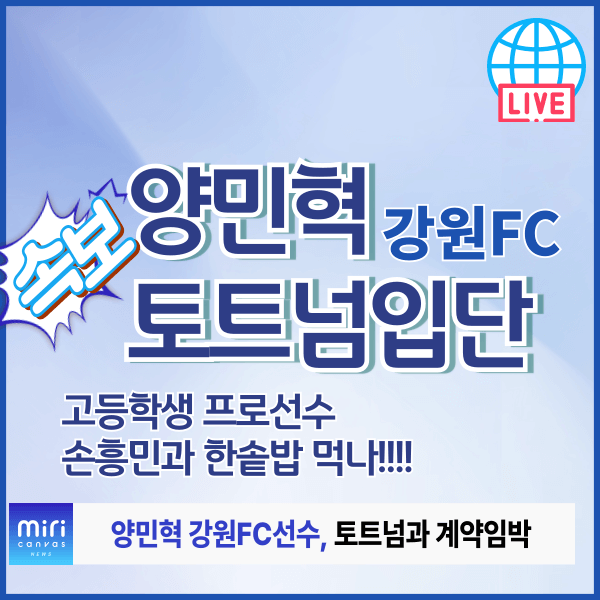 양민혁 토트넘