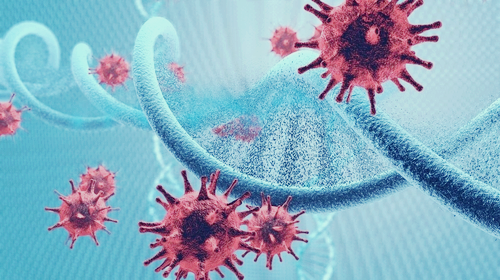 프로폴리스 효능