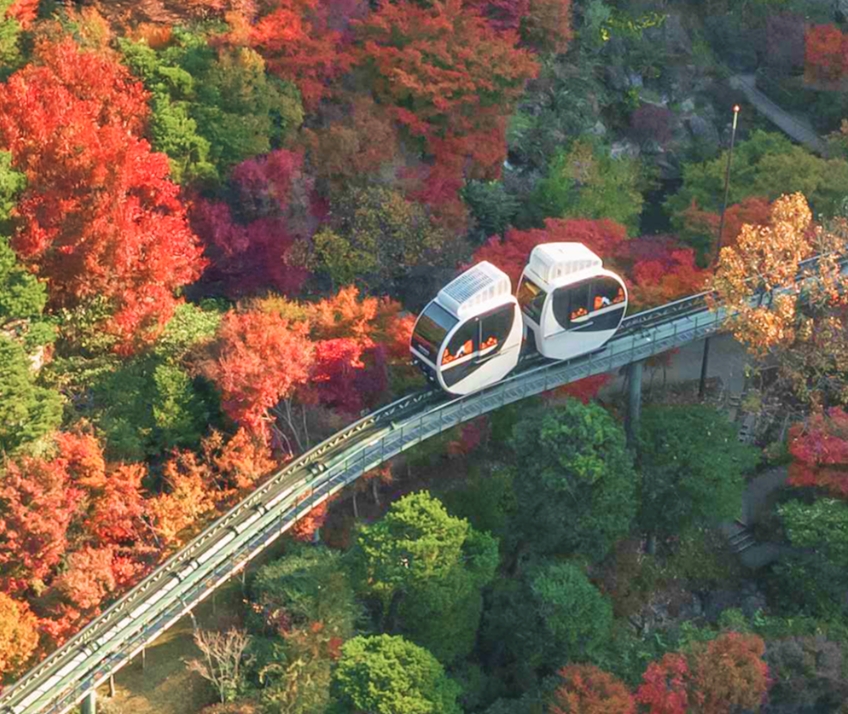 🍁 단풍이 쏟아지는 길&amp;#44; 화담숲 가을 풍경에 취하다(=2025)