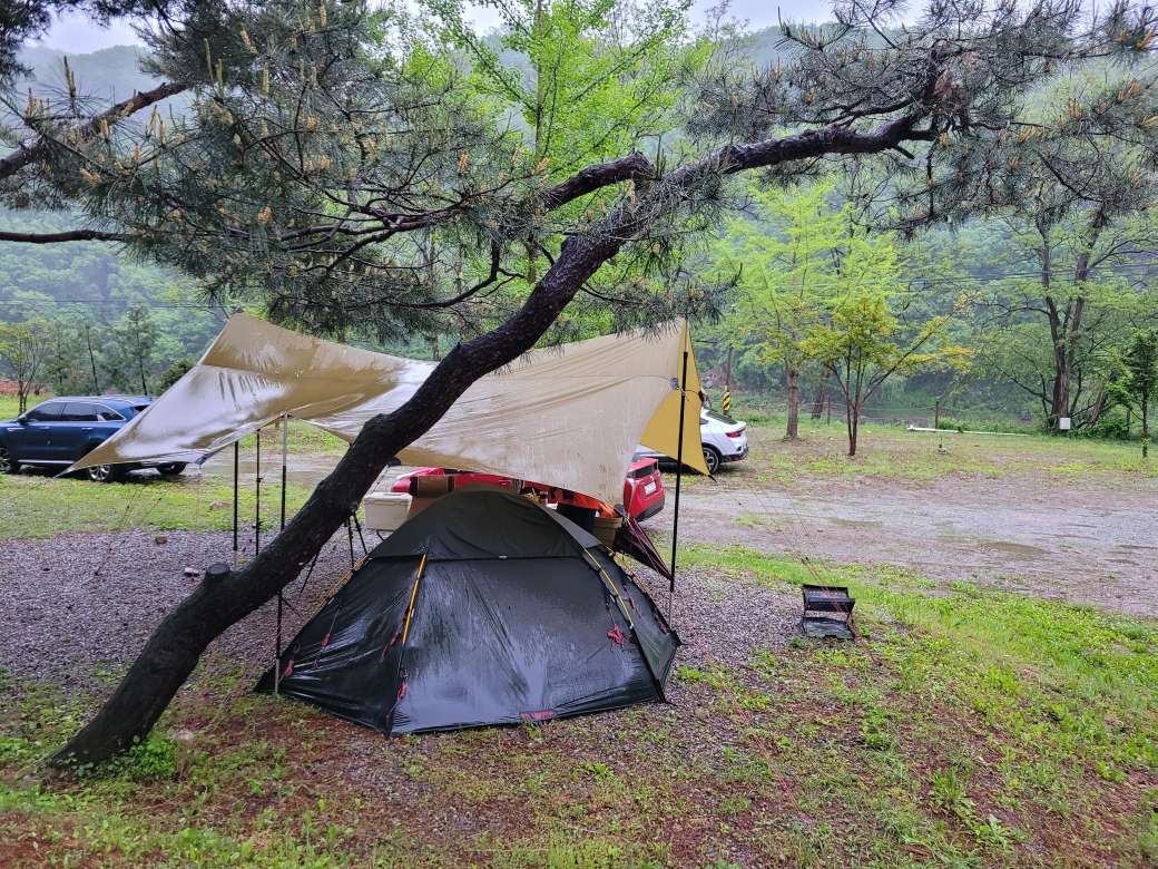 춘천 황금박쥐캠핑장 소개