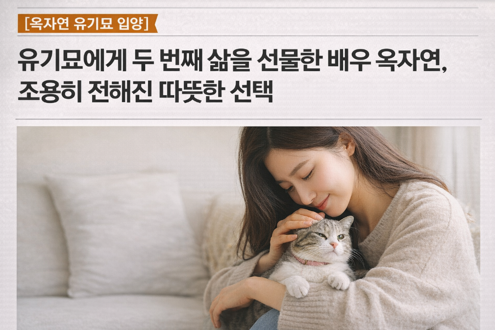 옥자연 유기묘 입양, 조용히 전해진 따뜻한 선택