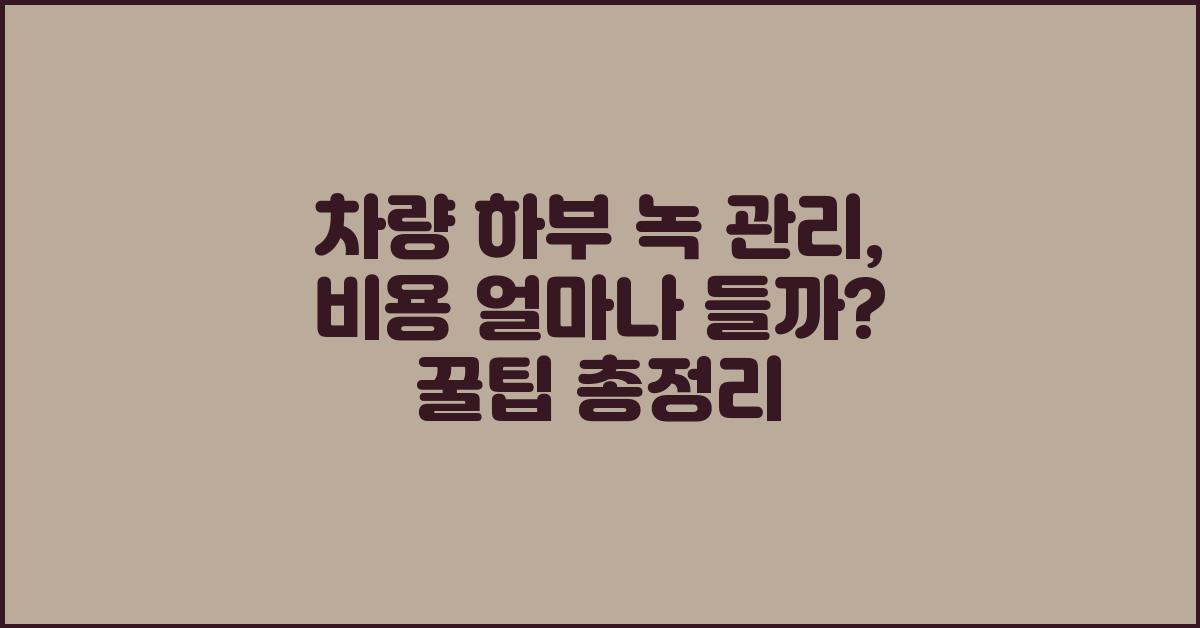 차량 하부 녹 관리, 비용은 얼마나 들까요?